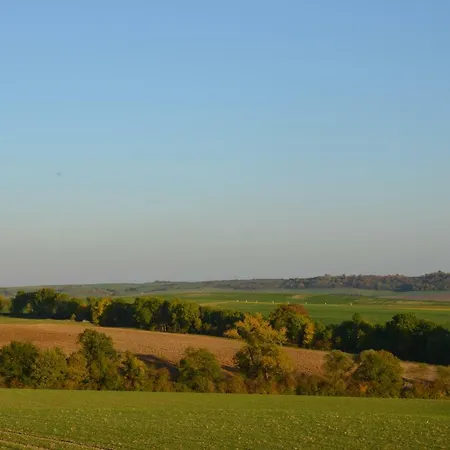 Brin De Campagne *